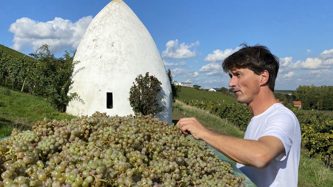 Weingut Bäder_Winzer mit Trullo, © Weingut Bäder