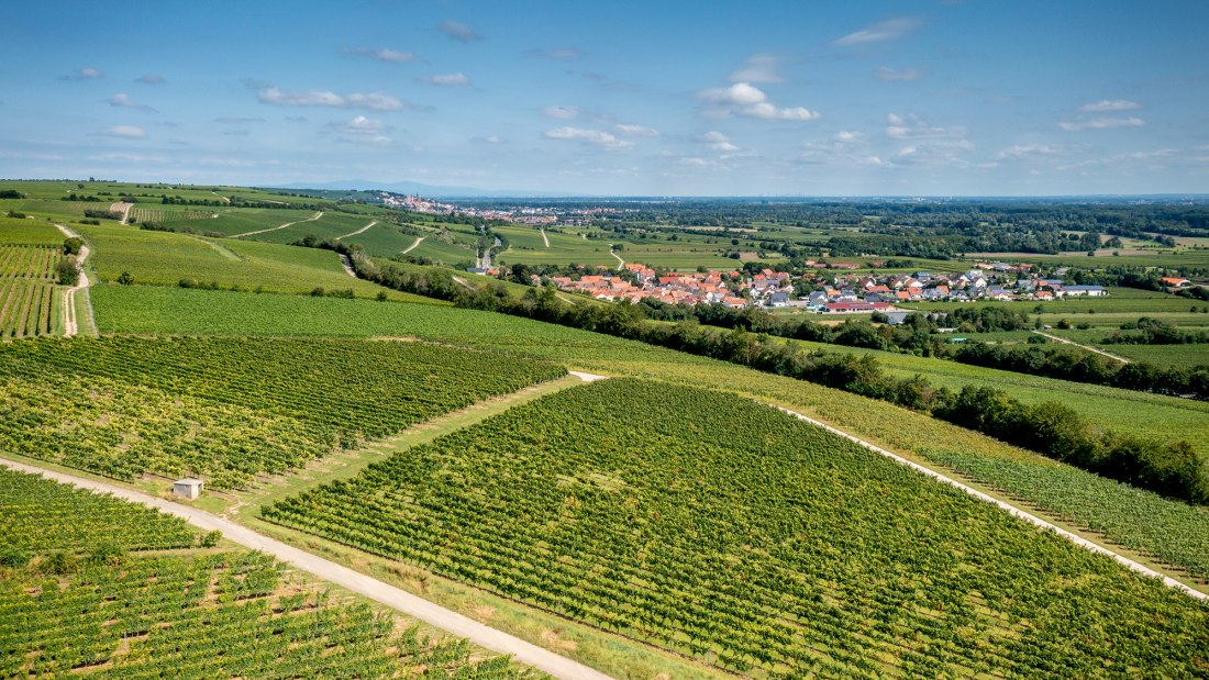 Ludwigshöher Teufelskopf