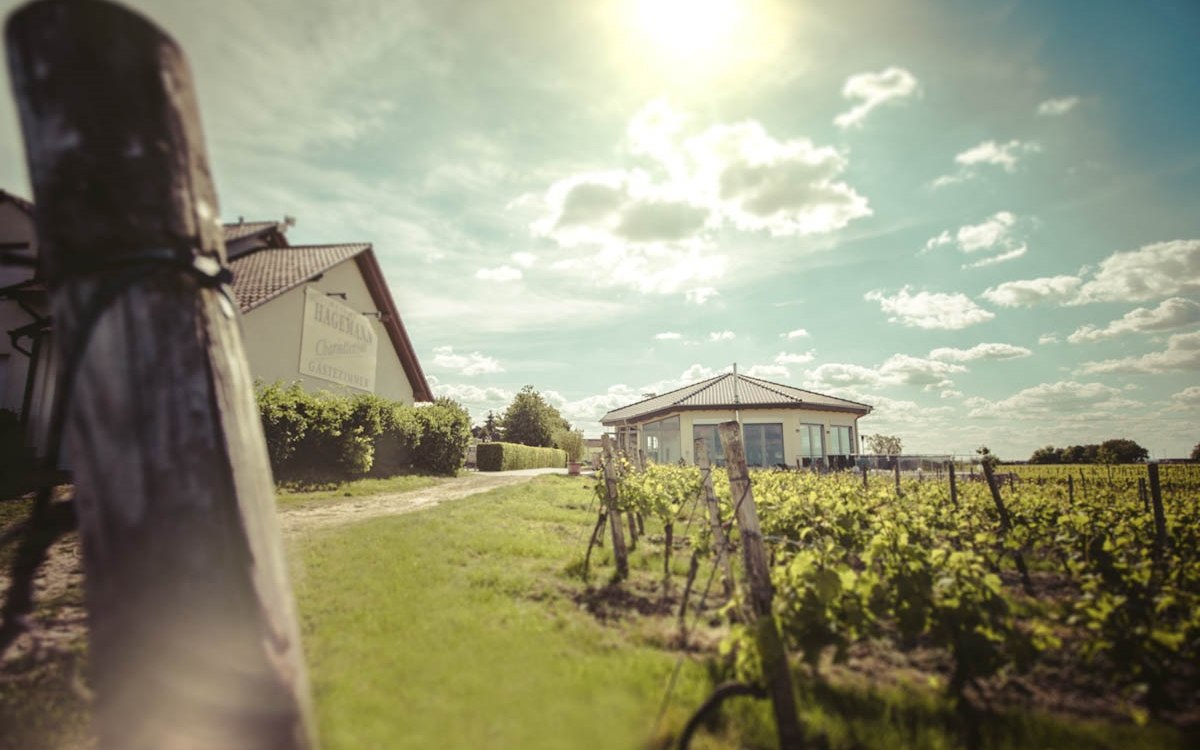 buitenkant-vinotheek-en-pension, © Weingut Hagemann