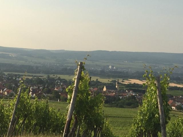 FamilienWeinGut Feser_Weinberge, © FamilienWeinGut Feser