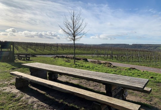 Tisch des Weines an der Weinmeile, © Petra Julius/Stadt Ingelheim