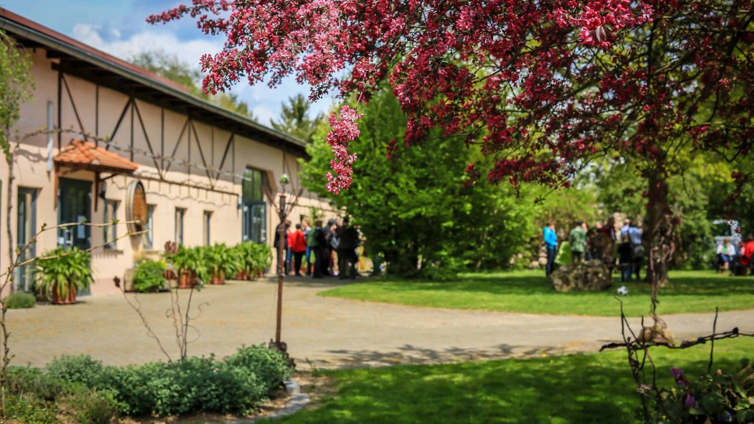 Weingut Dieter Michel_Garten, © Weingut Dieter Michel