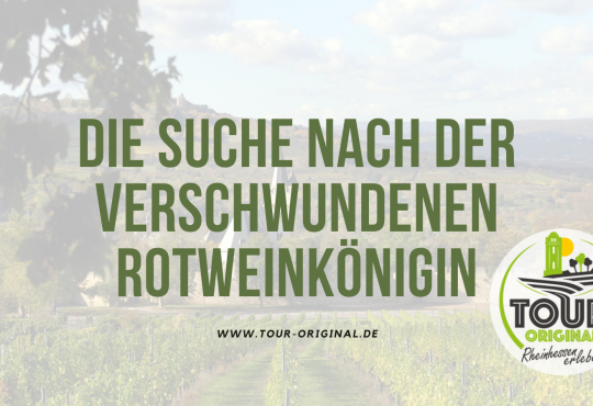 Die Suche nach der verschwundenen Rotweinkönigin, © Tour Original/Nadja Graf-Niebling