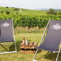 Potsdamer Hof - Weingut Gauer - Schorlegewitter