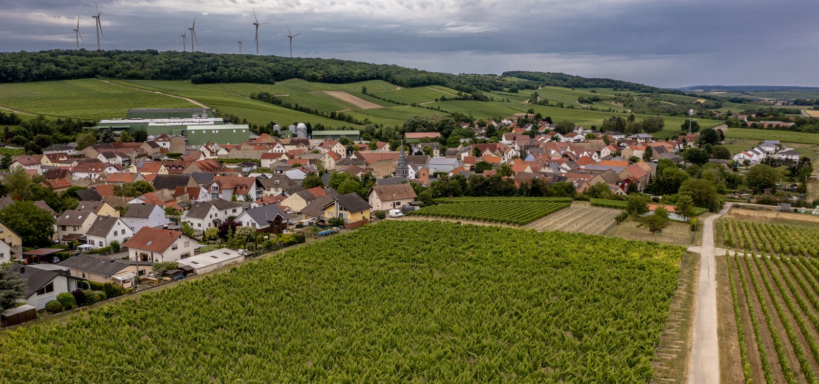 Lonsheimer Mandelberg