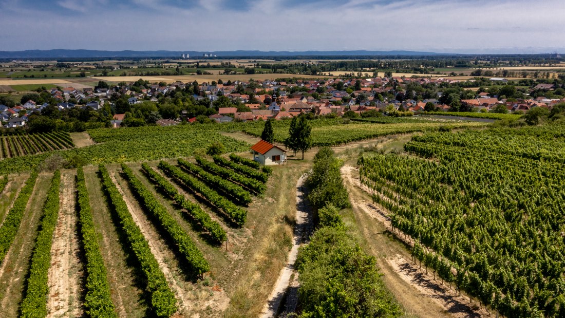 Mettenheimer Schlossberg