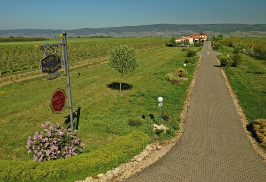 Reisemobilstellpaltz Weingut Menk, © Weingut Menk