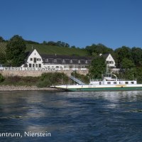 Weingut Louis Guntrum mit Fähre Nierstein