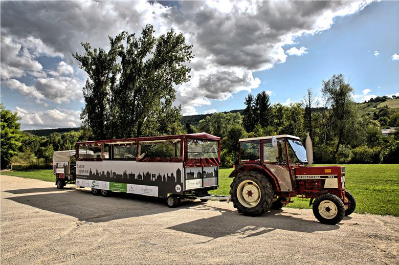 Im Planwagen auf den Spuren der Ingelheimer Weine, © Rainer Oppenheimer/IKuM GmbH