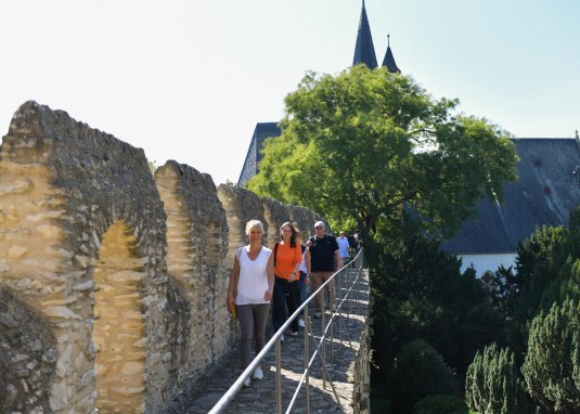 Führung auf dem Wehrgang © Angelika Stehle/Stadt Ingelheim