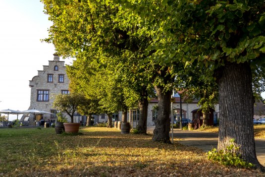 Winzerkeller im Herbst, © Andrea Enderlein/IKuM GmbH