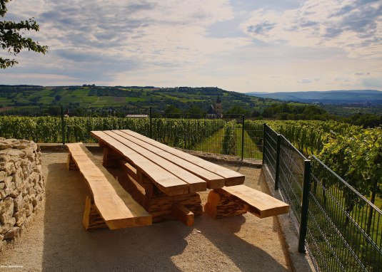 Tisch des Weines oberhalb des Wasserhäuschens © Rainer Oppenheimer/Stadt Ingelheim