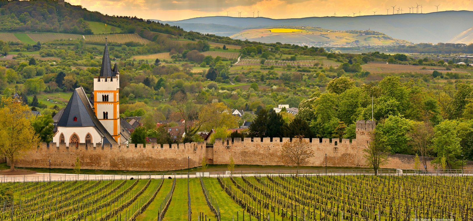 From the Mainzer Berg you have fantastic views of the castle church grounds and the Westerberg. In the background you can see the Kandrich of the Ingelheim forest near Rheinböllen., © Rainer Oppenheimer