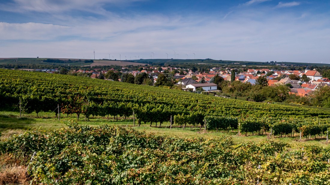 Albiger Schloss Hammerstein