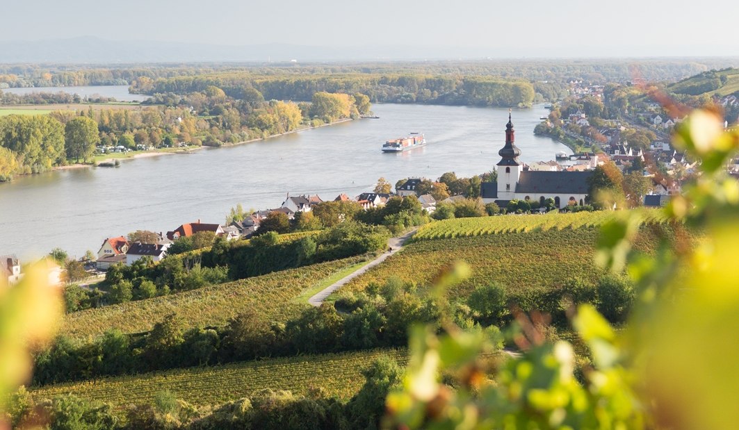 nierstein-0145675_georg-knoll-30, © Weingut Heise am Kranzberg